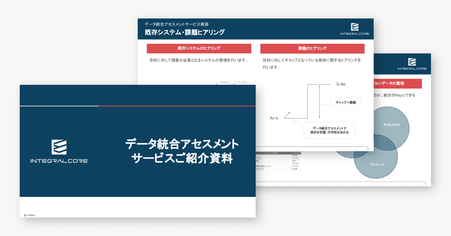 データ統合アセスメントサービスご紹介資料